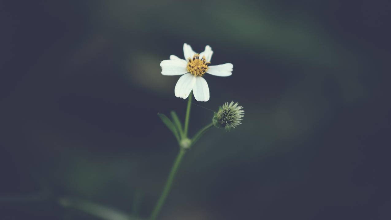 hero-image